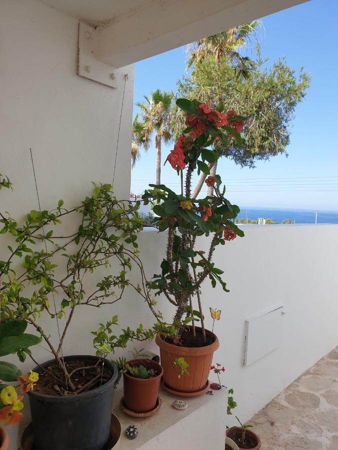 Ikaria Village-Ground Floor Apartment No 4 Klorakas 외부 사진