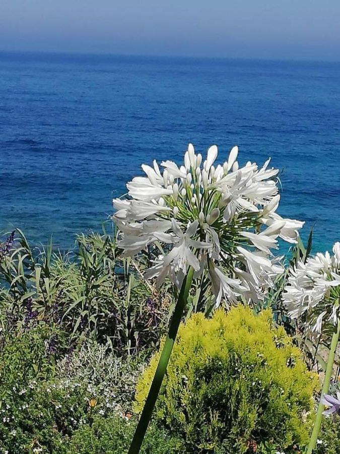 Ikaria Village-Ground Floor Apartment No 4 Klorakas 외부 사진